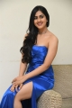 Actress Gehna Sippy Pictures @ My South Diva Calendar 2021 Launch