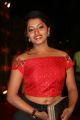 Actress Vennela @ Gemini TV Puraskaralu 2016 Red Carpet Stills
