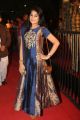 Gemini TV Puraskaralu 2016 Red Carpet Stills