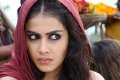 Genelia D'souza Hot Urumi Movie Photos Stills