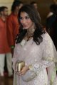 Sophie Choudry @ Genelia Ritesh Wedding Photos