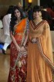 Genelia Ritesh Wedding Photos