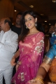 Actress Genelia in Hot Transparent Saree