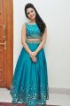 Actress Sri Mukhi @ Gentleman Movie Audio Launch Photos