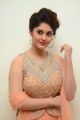 Actress Surabhi @ Gentleman Movie Audio Launch Photos