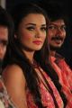 Actress Amy Jackson @ Gethu Movie Audio Launch Photos