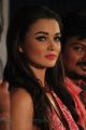 Actress Amy Jackson @ Gethu Movie Audio Launch Photos