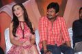 Amy Jackson, Udhayanidhi Stalin @ Gethu Movie Audio Launch Photos