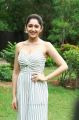 Actress Sayyeshaa Saigal @ Ghajinikanth Movie Press Meet Stills