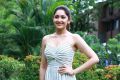 Actress Sayyeshaa @ Ghajinikanth Movie Press Meet Stills