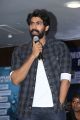 Actor Rana Daggubati @ Ghazi Movie Success Meet Stills