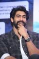 Hero Rana Daggubati @ Ghazi Movie Success Meet Stills