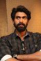 Hero Rana Daggubati @ Ghazi Movie Success Meet Stills