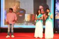 Golden Chance Movie Audio Launch Stills