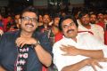 Gopala Gopala Audio Launch Stills