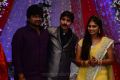 Harish Shankar at Director Gopichand Malineni Wedding Reception Photos