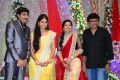 Telugu Director Gopichand Malineni Wedding Reception Photos