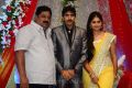 Telugu Director Gopichand Malineni Wedding Reception Photos