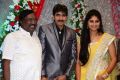 Telugu Cinema Director Gopichand Malineni Wedding Reception Photos