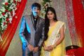 Telugu Director Gopichand Malineni Wedding Reception Photos