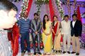 Telugu Cinema Director Gopichand Malineni Wedding Reception Photos