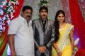 Telugu Cinema Director Gopichand Malineni Wedding Reception Photos