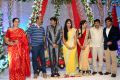 Telugu Director Gopichand Malineni Wedding Reception Photos