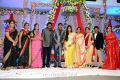 Director Gopichand Malineni Marriage Reception Photos