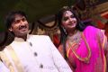 Gopichand Marriage Photos