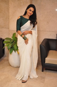 Actress Gopika Udayan Saree Pics @ MAD Success Meet