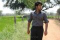 Actor Allu Sirish Photos in Gouravam Movie