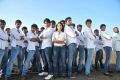 Gauravam Telugu Movie Stills