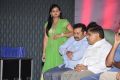 Gouravam Movie Trailer Launch Photos