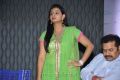 Gauravam Movie Trailer Launch Photos