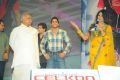 Greeku Veerudu Movie Audio Launch Photos