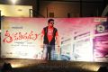 Greeku Veerudu Audio Launch Stills