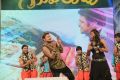 Greeku Veerudu Audio Launch Photos