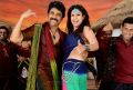 Nagarjuna, Nayanthara in Greeku Veerudu Latest Stills