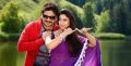 Nagarjuna, Nayanthara in Greeku Veerudu Latest Stills