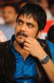 Nagarjuna at Greeku Veerudu Movie Audio Release Stills