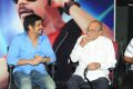 Greeku Veerudu Success Meet Function Photos