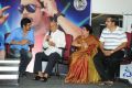 Greeku Veerudu Movie Success Meet Stills