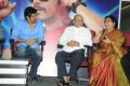 Greeku Veerudu Movie Success Meet Stills