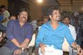 Greeku Veerudu Platinum Disc Function Stills