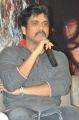 Actor Nagarjuna at Greeku Veerudu Movie Trailer Launch Stills