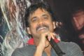 Actor Nagarjuna at Greeku Veerudu Movie Trailer Launch Stills