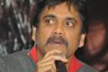 Actor Nagarjuna at Greeku Veerudu Movie Trailer Launch Stills