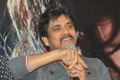 Actor Nagarjuna at Greeku Veerudu Movie Trailer Launch Stills