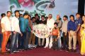 Green Signal Audio Launch Function Stills