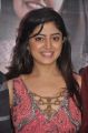 Actress Poonam Kaur at Guest Movie Audio Launch Photos